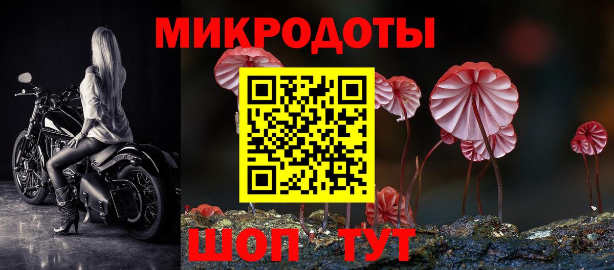 Галлюциногенные грибы Magic Shrooms Черногорск